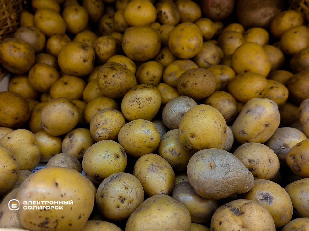 Potato 14
