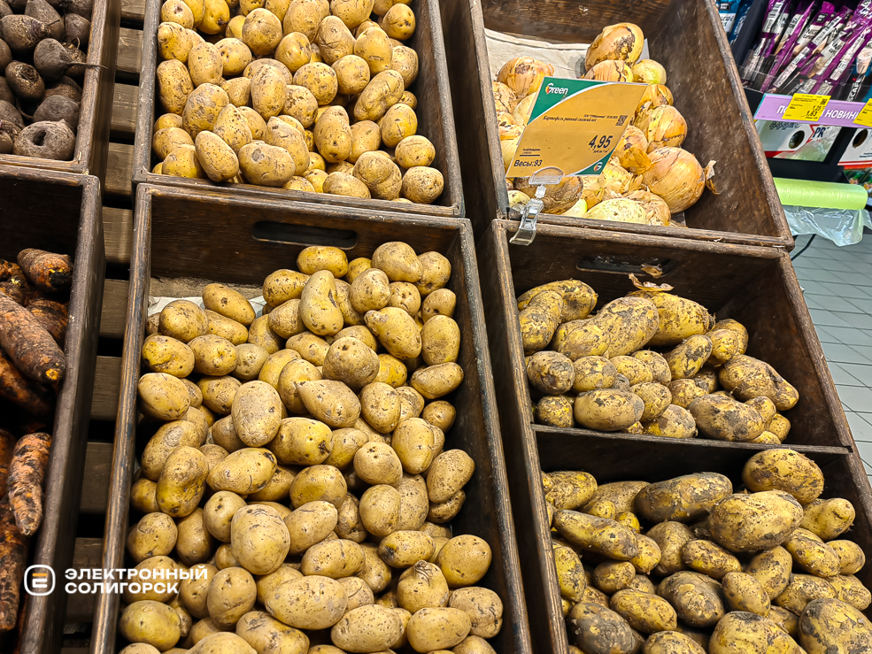 Potato 18
