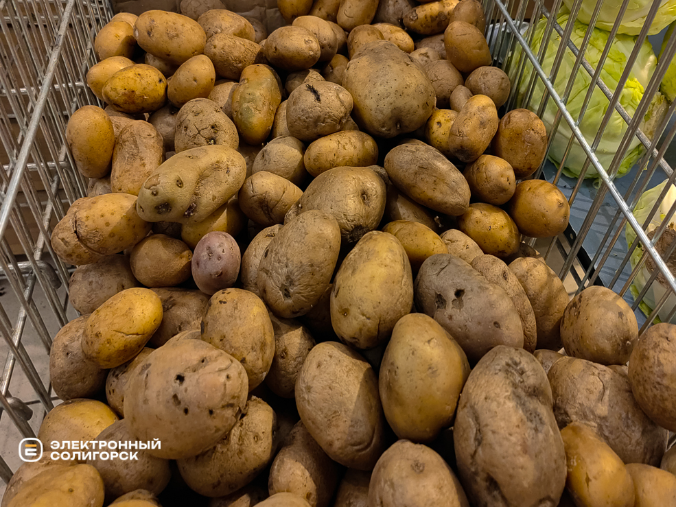 Potato 2