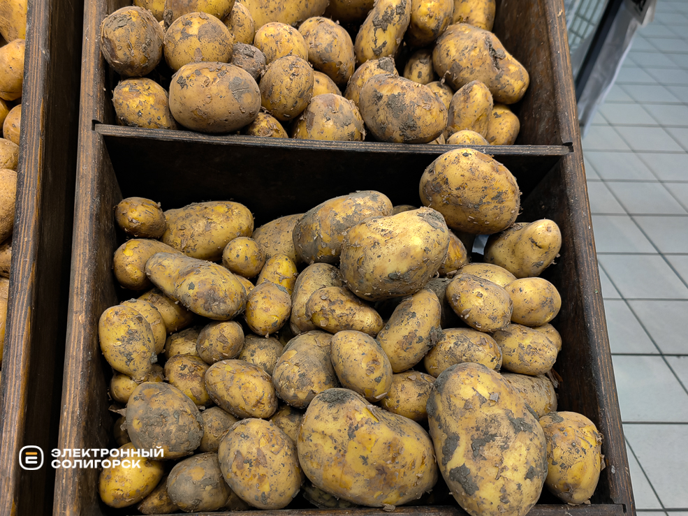Potato 20
