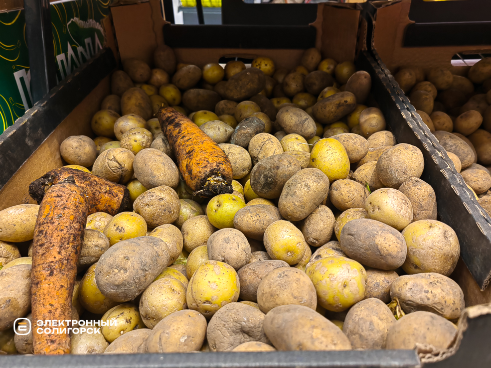 Potato 5