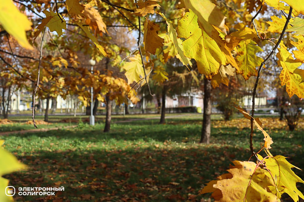 okt4