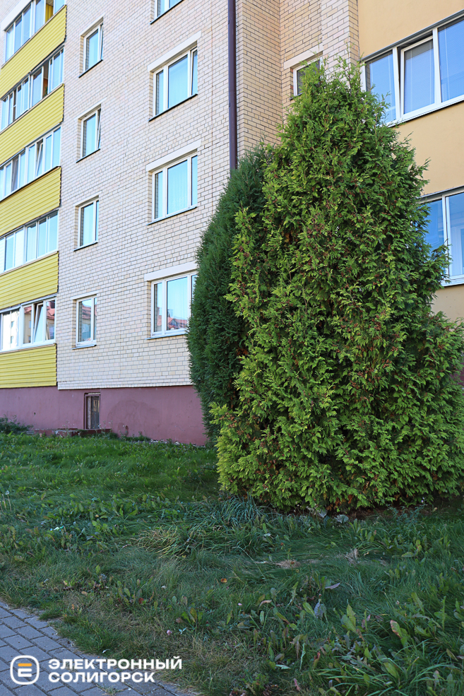 stroiteley 2 58