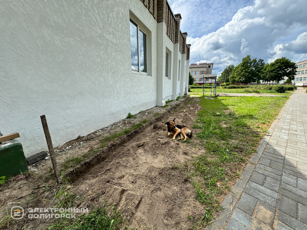 агрогородок долгое готовится к дожинкам