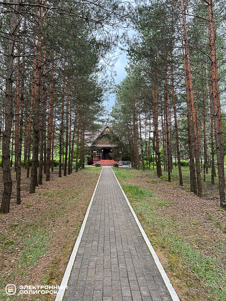 foto 1 6