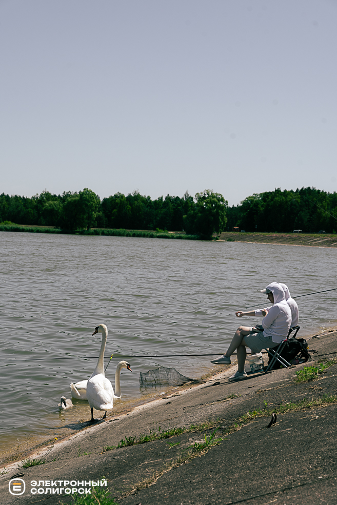 Солигорское водохранилище, соревнования по ловле рыбы на поплавочную удочку среди любителей