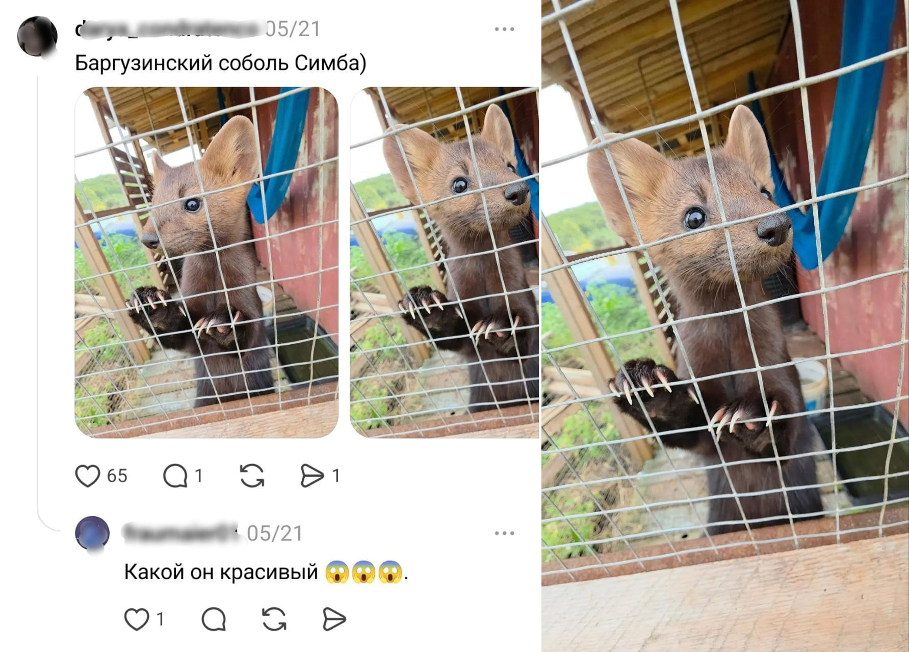 sobol 1