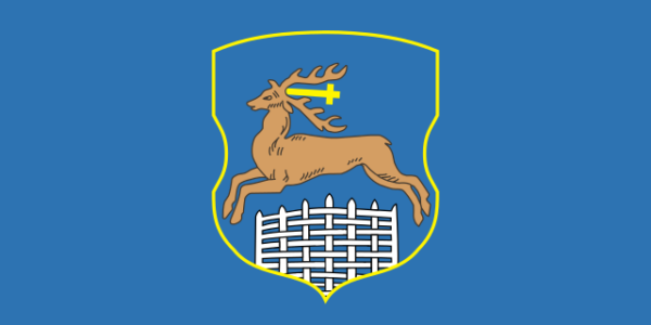 flag grodno 600x300