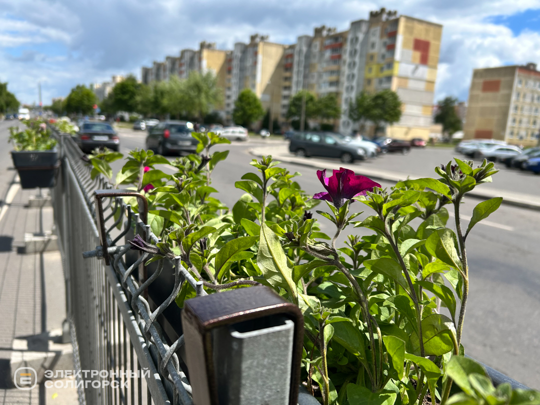 Кашпо на ул Октябрьской