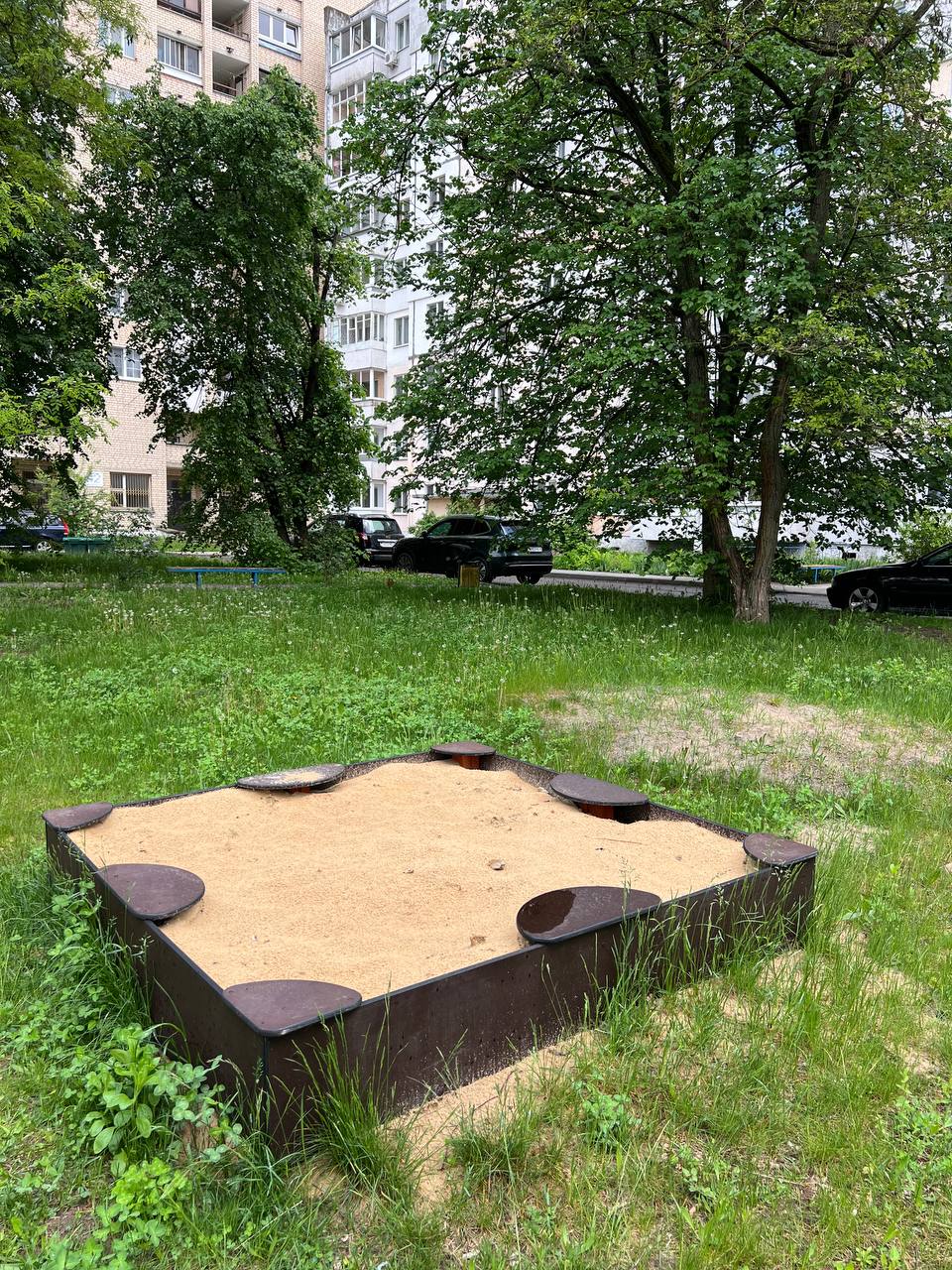 photo 2026 05 18 15 08 34 2