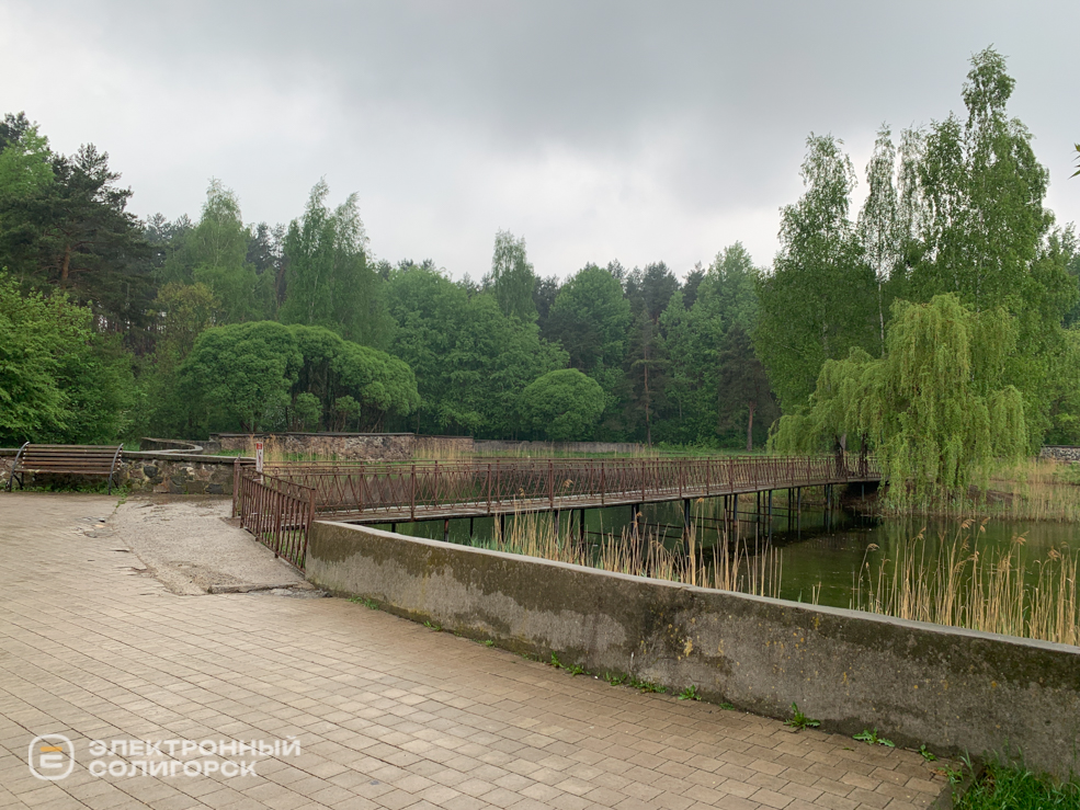 Лягушатник в Солигорске
