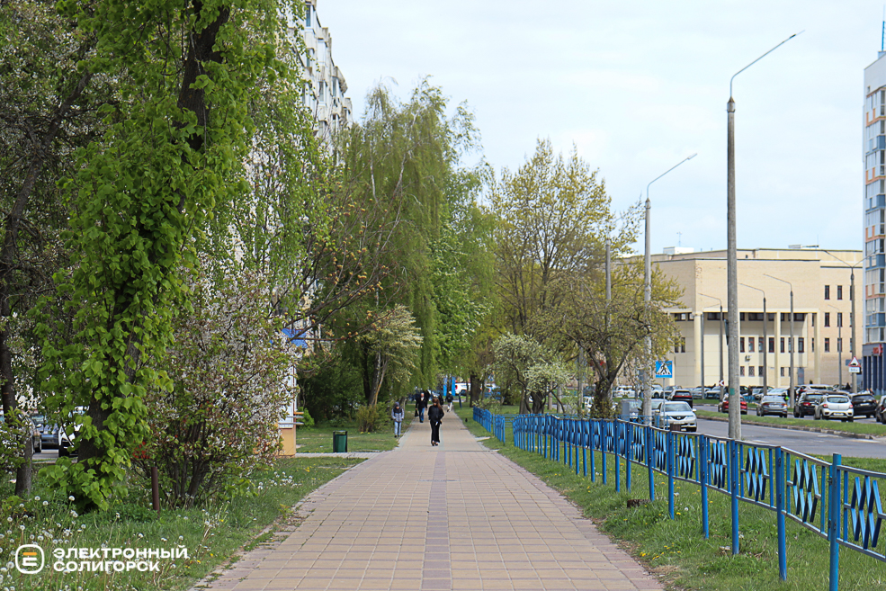 vesna 2 12