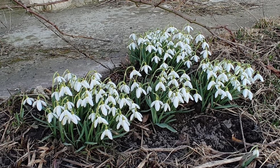 april 3