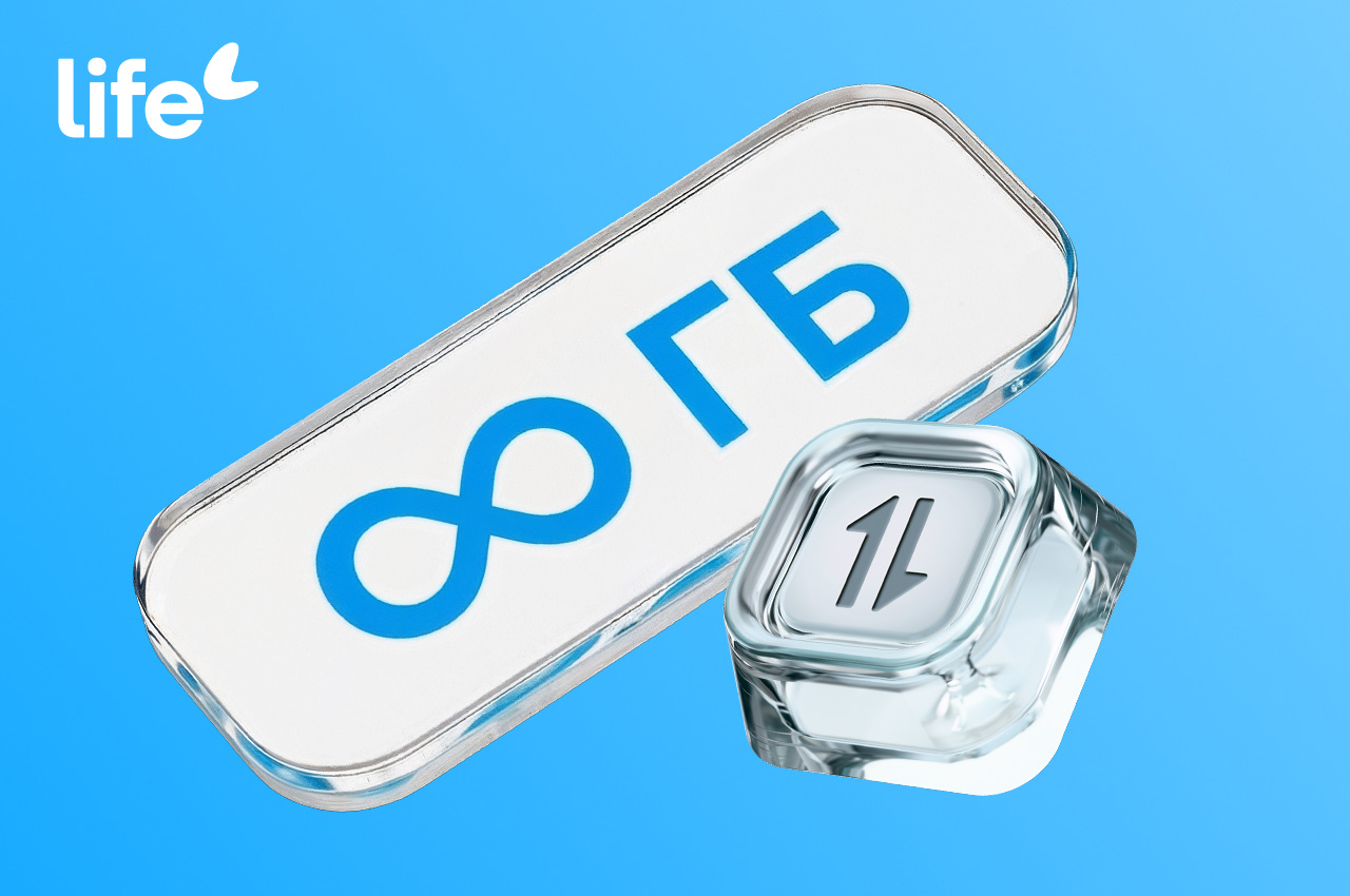 life 11